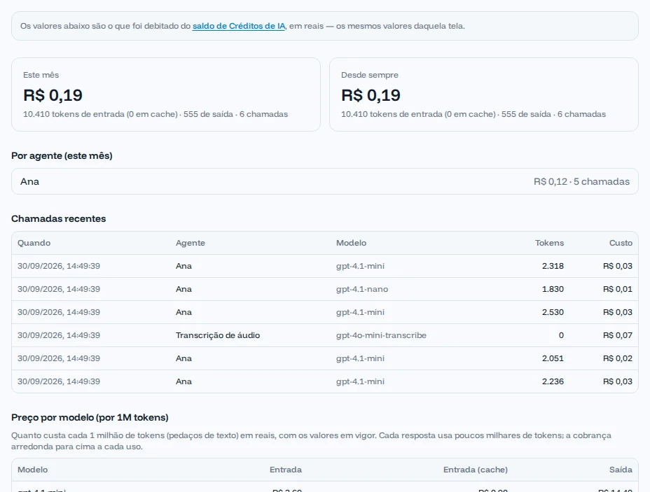 Aba Uso e custo com o total do mês, o gasto da Ana e as chamadas recentes
