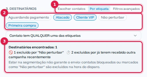 Destinatários por etiqueta: Cliente VIP, Primeira compra e Atacado; 1 destinatário encontrado, 1 excluído por Não perturbar e 2 por campanha recente
