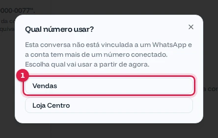 Janela Qual número usar com as opções Vendas e Loja Centro