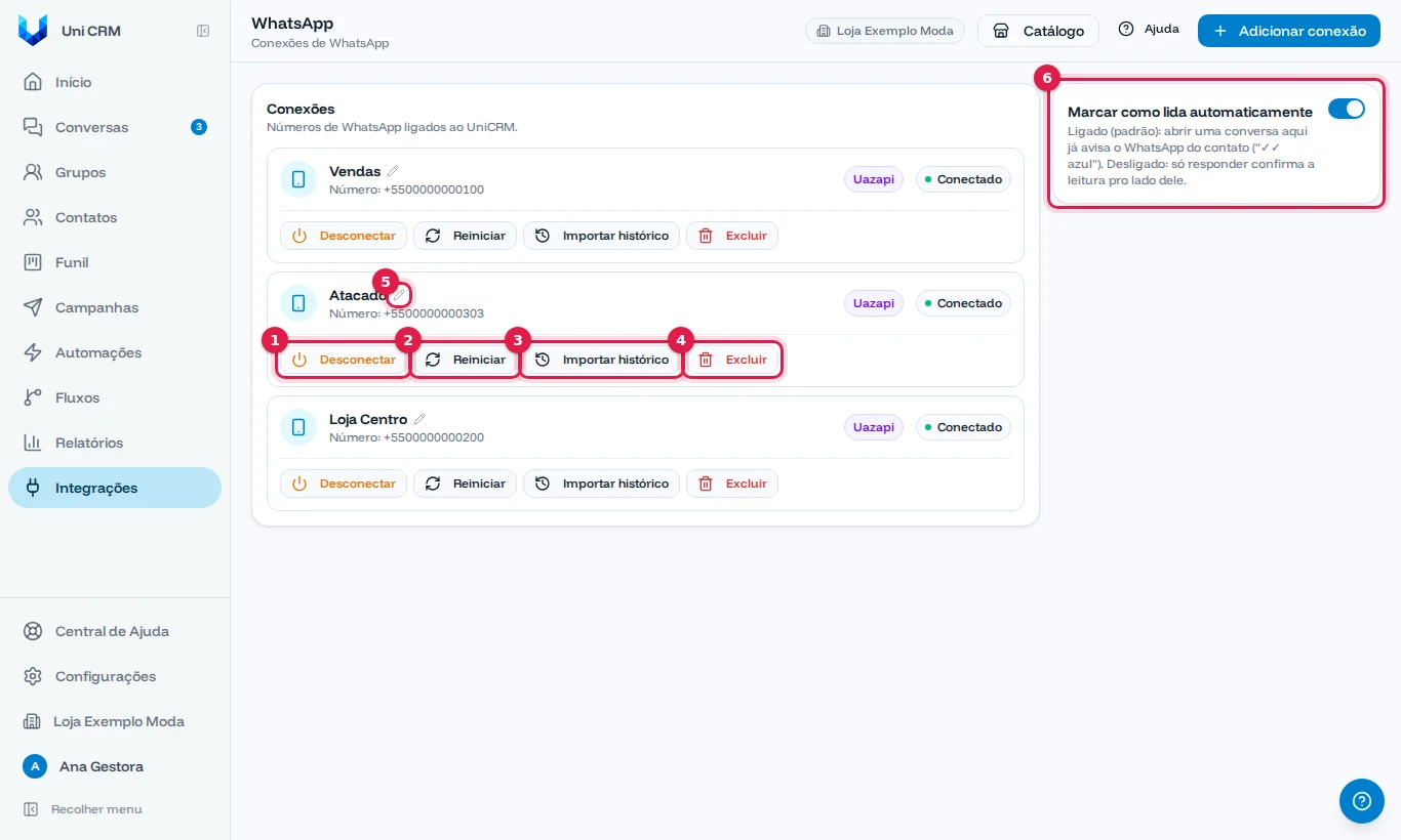 Botões Desconectar, Reiniciar, Importar histórico, Excluir, Renomear e a opção Marcar como lida automaticamente
