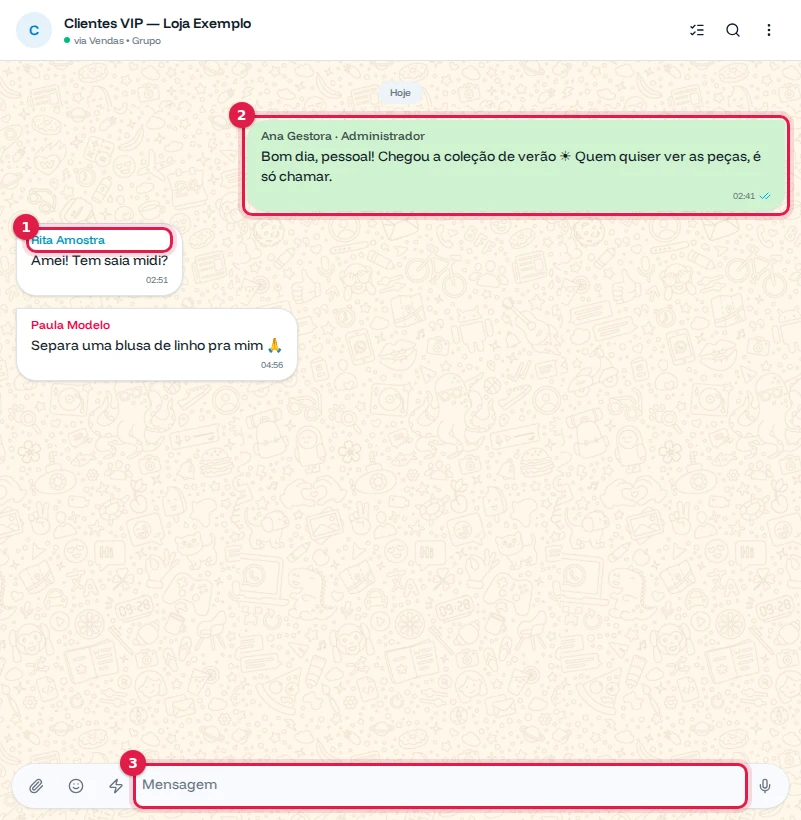 Grupo Clientes VIP aberto, com o nome de quem escreveu, a mensagem da equipe e a caixa de mensagem
