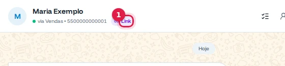 Conversa da Maria Exemplo com o selo Link no topo