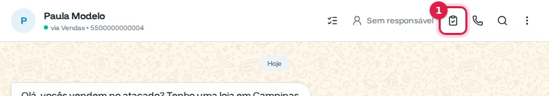 Topo da conversa da Paula com o botão Analisar pendências