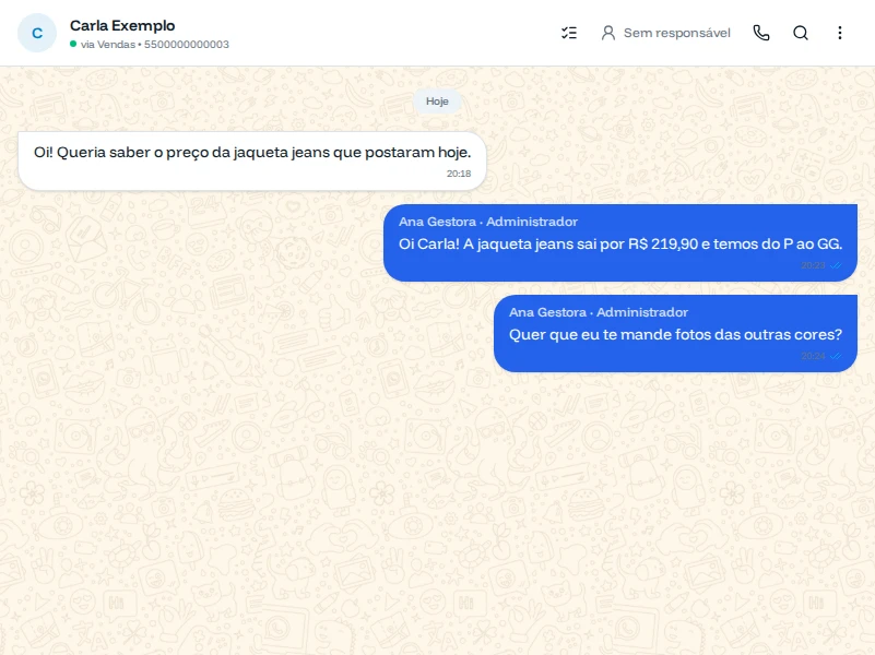 Conversa da Carla com as mensagens enviadas em azul e o nome Ana Gestora · Administrador