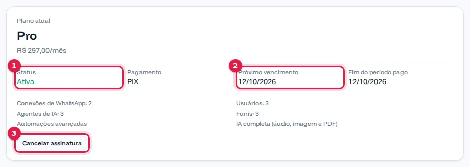 Plano Pro ativo, pago por PIX, com o próximo vencimento e os limites do plano