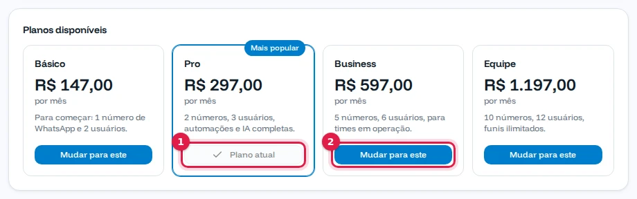 Planos Básico, Pro, Business e Equipe, com o Pro marcado como plano atual