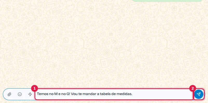 Caixa de mensagem com um texto digitado e o botão Enviar