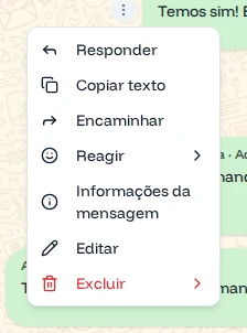 Menu da mensagem com Responder, Copiar texto, Encaminhar, Reagir, Informações da mensagem, Editar e Excluir