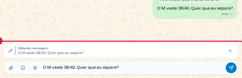 Caixa de mensagem editando o texto enviado