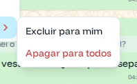 Opções Excluir para mim e Apagar para todos
