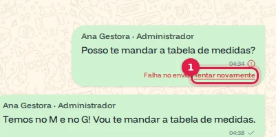 Mensagem com o aviso Falha no envio e o link Tentar novamente