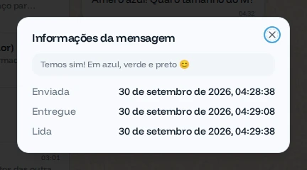 Janela Informações da mensagem com os horários de envio, entrega e leitura