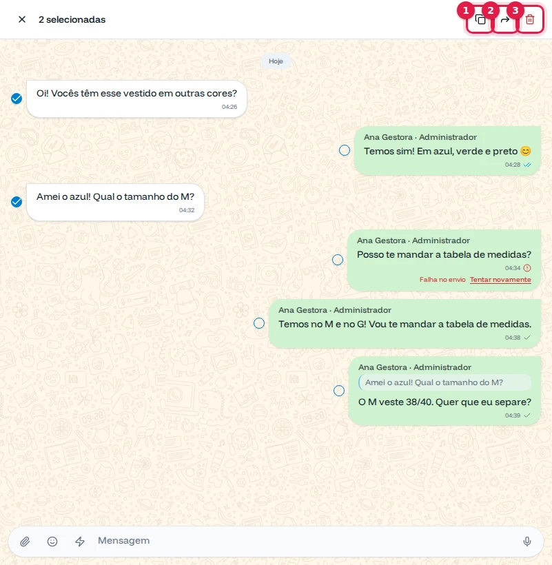 Duas mensagens selecionadas com os botões Copiar, Encaminhar e Excluir