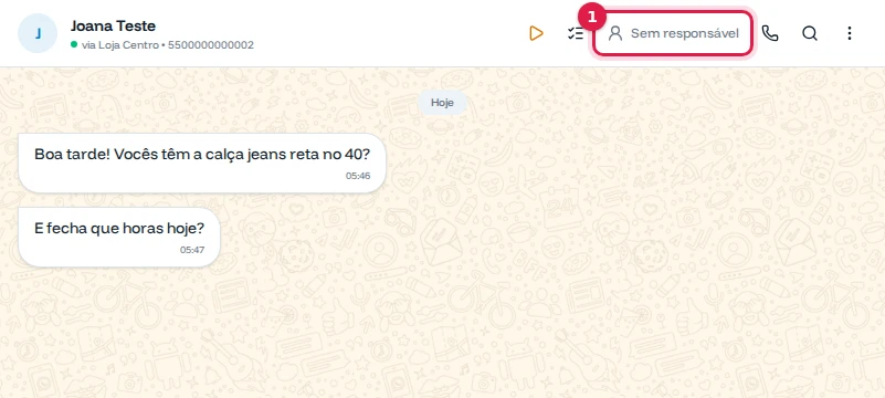 Topo da conversa com o botão Sem responsável destacado