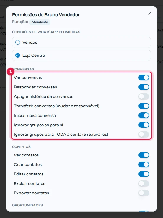 Janela de permissões do usuário com a seção Conversas e a permissão Transferir conversas