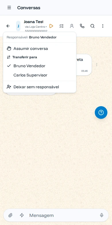Menu do responsável aberto no celular